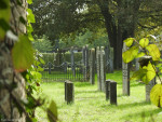 Oude begraafplaats